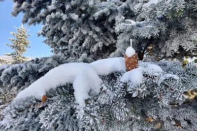 Winter jigsaw puzzle