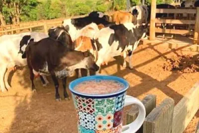 taza jigsaw puzzle