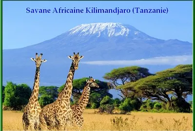 Mont Kilimandjaro (Tanzanie) jigsaw puzzle