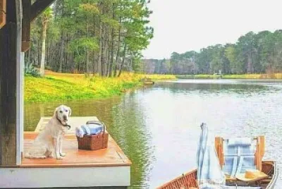 perro jigsaw puzzle