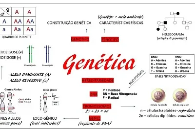 conceitos genetica