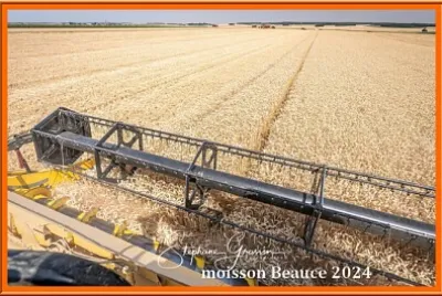 Moisson en Beauce 2024