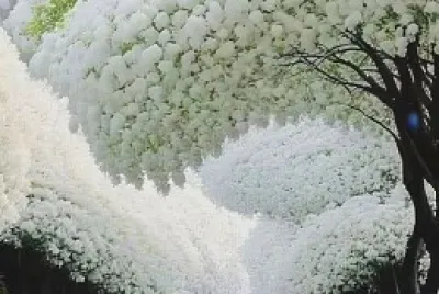 naturaleza