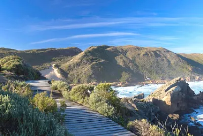 Camino entre las rocas jigsaw puzzle