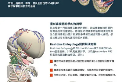 Primal_攤位遊戲_02