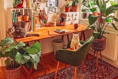 gato jigsaw puzzle