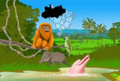 AMAZÔNIA.
