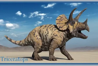 Triceratops jigsaw puzzle