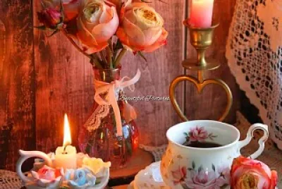 taza jigsaw puzzle