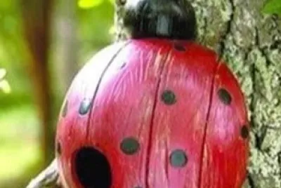 pajarera jigsaw puzzle