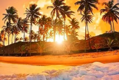 naturaleza jigsaw puzzle