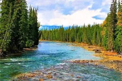 naturaleza jigsaw puzzle