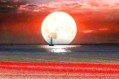 פאזל של paisaje