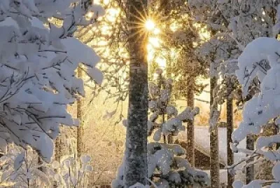 Inverno jigsaw puzzle