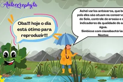 Antóceros-1