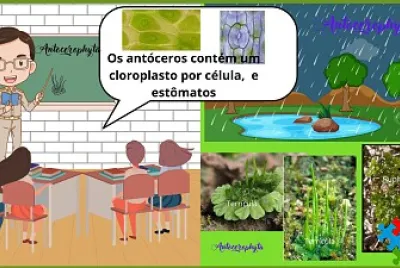 Antócero-2