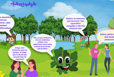 Antócero-3