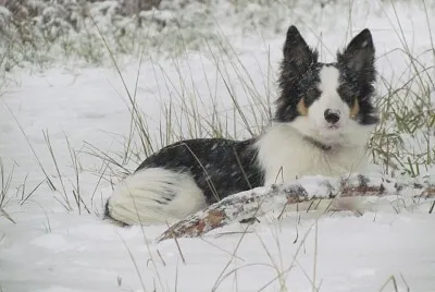 Milaye aime la neige