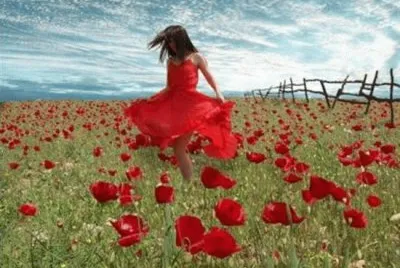 muita foto jigsaw puzzle