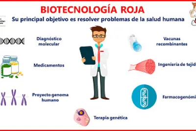 biotecnologia roja