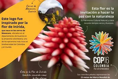 COP 16 jigsaw puzzle