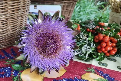 Blume