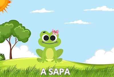A sapa