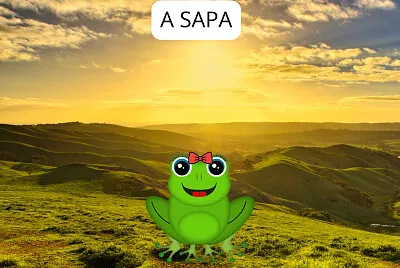 A SAPA
