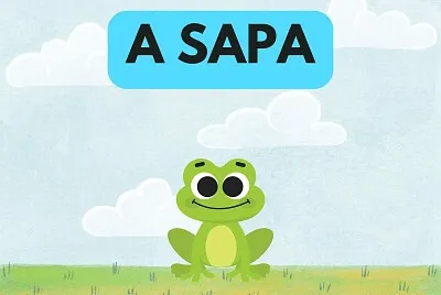 A sapa