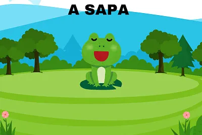 A SAPA jigsaw puzzle
