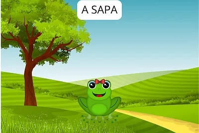 A SAPA