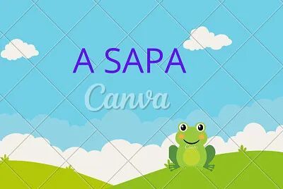 A SALA