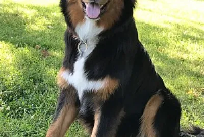 Hermione