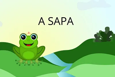 A SAPA