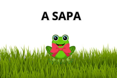 A SAPA