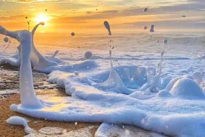 naturaleza