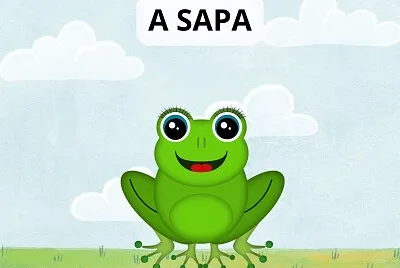QUEBRA CABEÇA DE CONTOS: A SAPA