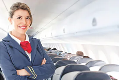 פאזל של flight attendant