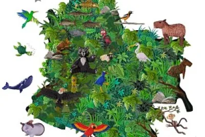 biodiversidad colombia