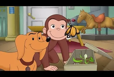 George O Curioso
