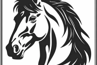 Dessin tête de cheval