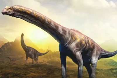 פאזל של #argentinosaurio