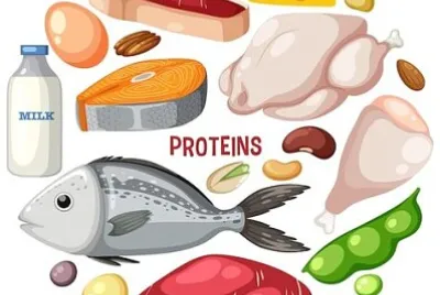 פאזל של proteinas