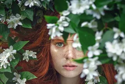 Rostro