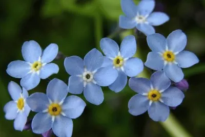 ImÃ¡genes jigsaw puzzle