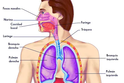Temas de biologia