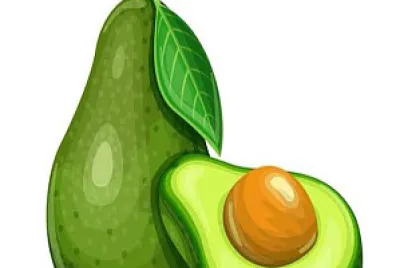 Avocado jigsaw puzzle