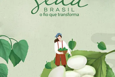 seda brasil