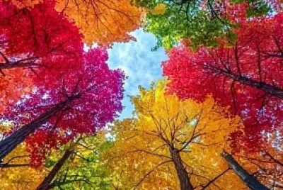 Naturaleza