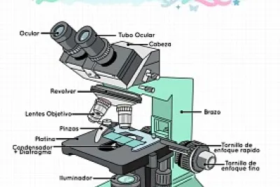 Microscopio jigsaw puzzle